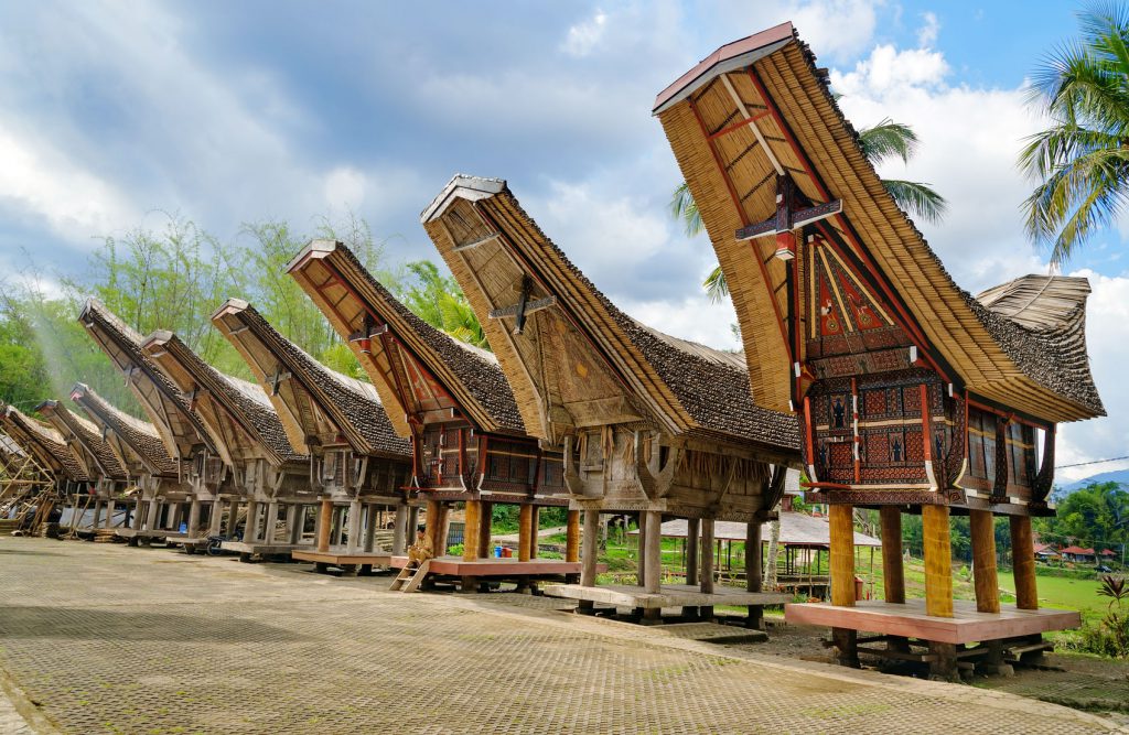 toraja