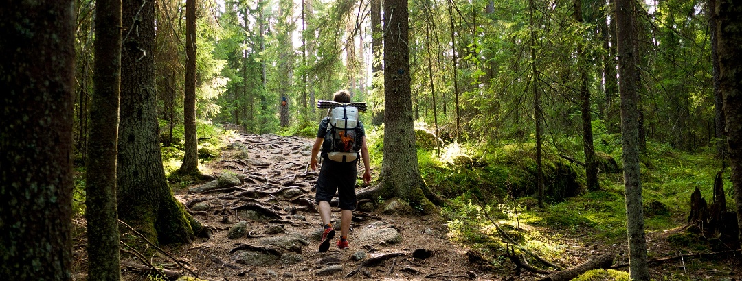 Perbedaan Hiking dan Trekking yang Harus Kamu Ketahui